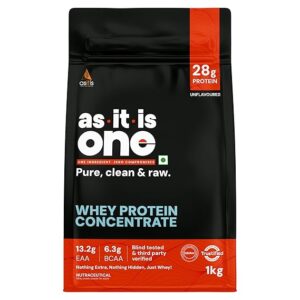 AS-IT-IS ONE Whey Protein 
